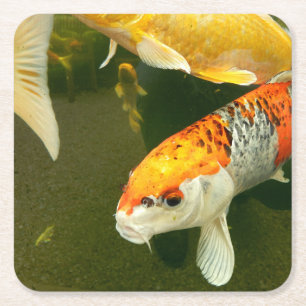 Koi Carp Paper Coaster