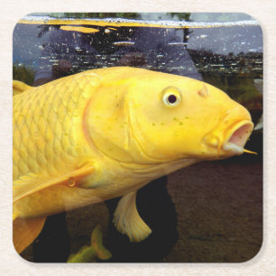 Koi Carp Paper Coaster