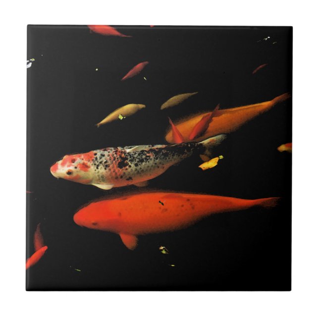 Koi Carp Tile (Front)