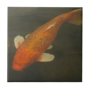 Koi Carp Tile