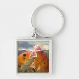 Koi carps key ring
