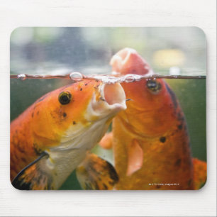 Koi carps mouse pad