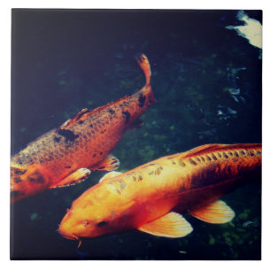 Koi Ceramic Tile