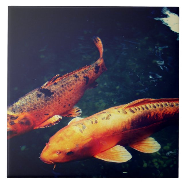 Koi Ceramic Tile (Front)
