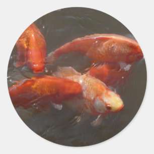 koi classic round sticker