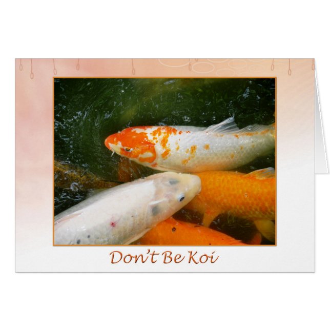 Koi Fish (Front Horizontal)