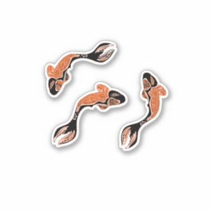 Koi fish black and orange 