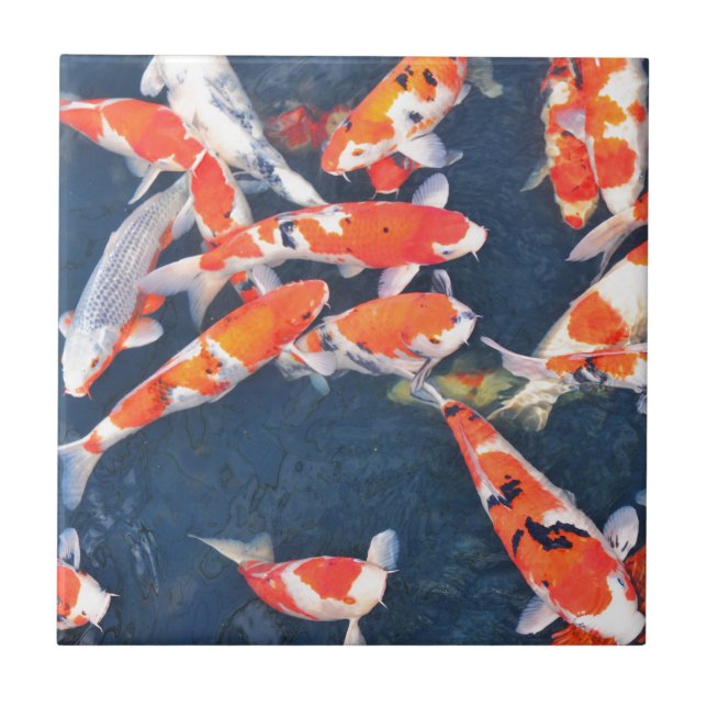 Koi fish ceramic tile (Front)