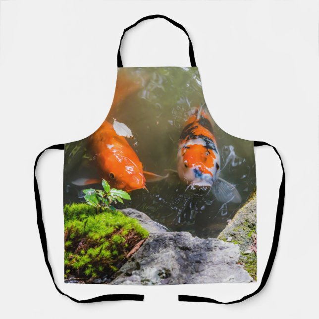 Koi fish in a pond apron (Front)
