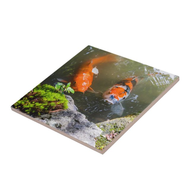 Koi fish in a pond ceramic tile (Side)