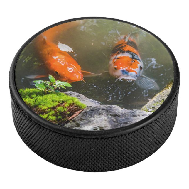 Koi fish in a pond hockey puck (3/4)