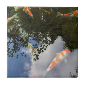 Koi Fish in garden pond with water reflection Ceramic Tile