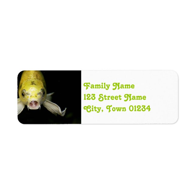 Koi Fish in Japan Return Address Label (Front)