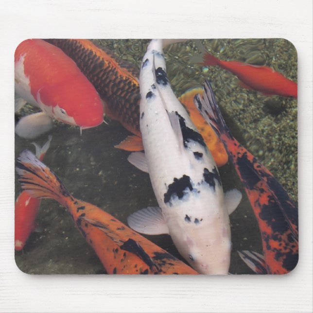 Koi Fish Mouse Pad (Front)
