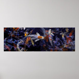 KOI FISH OVER FLOWING #2 POSTER