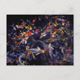 KOI FISH OVER FLOWING POSTCARD