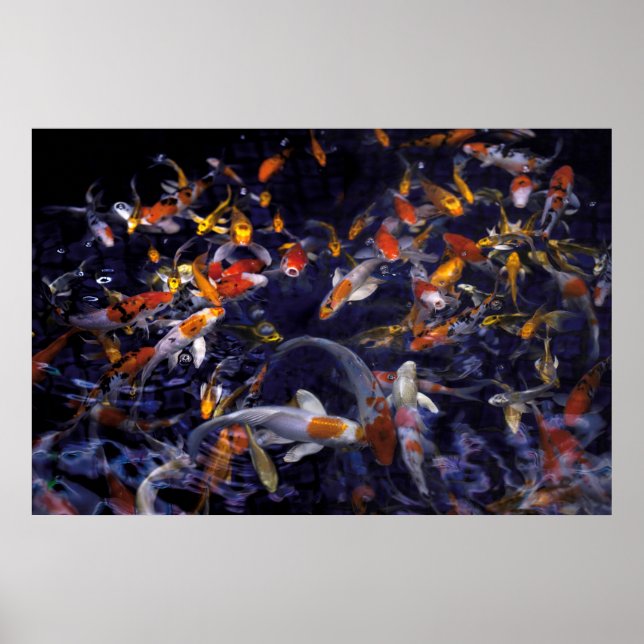 KOI FISH OVER FLOWING POSTER (Front)