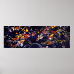 KOI FISH OVER FLOWING POSTER