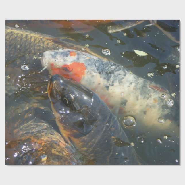 Koi Fish Pond Lake Wrapping Paper Gift (Flat)