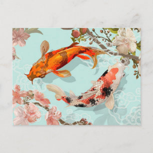 Koi Fish Postcard
