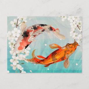 Koi Fish Postcard