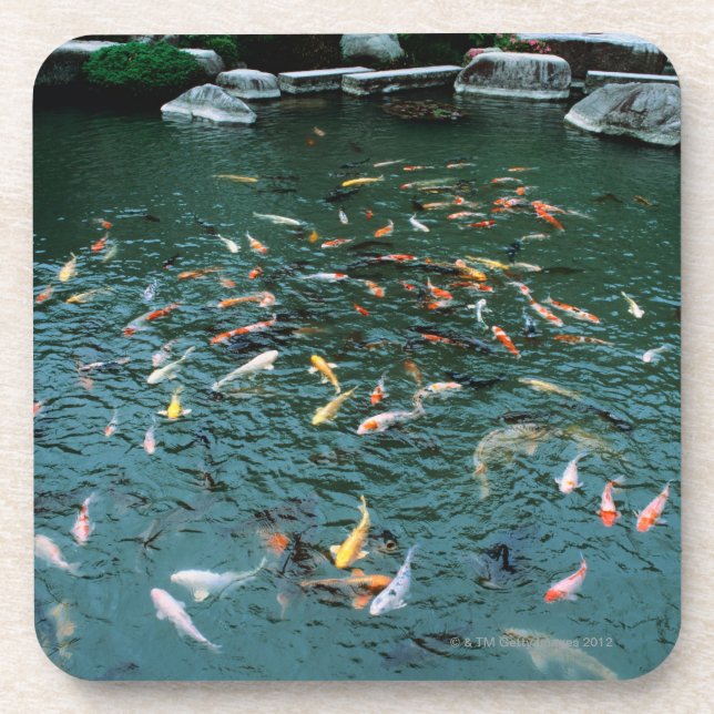 Koi in a Pond Coaster (Front)