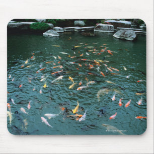 Koi in a Pond Mouse Pad