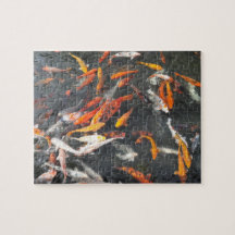 Koi
