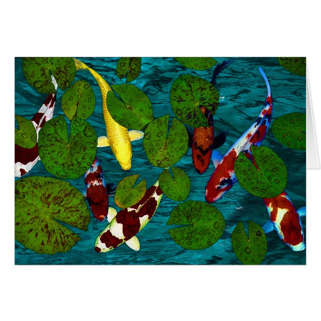 KOI POND (Front Horizontal)