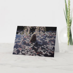 Koi Pond Condolence Card