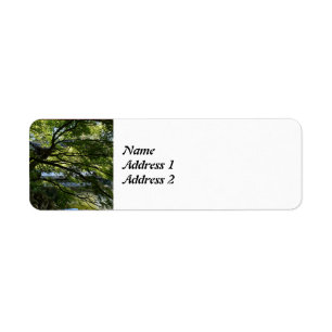 Koi Pond in Chinese Garden Save the Date Return Address Label
