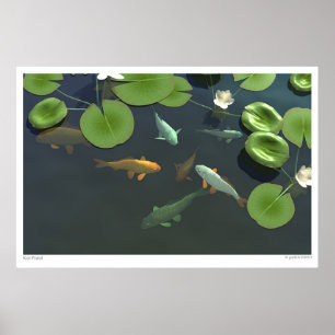 Koi Pond Poster