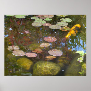 Koi Pond Poster