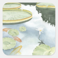 Koi Pond Reflection with Fish and Lilies