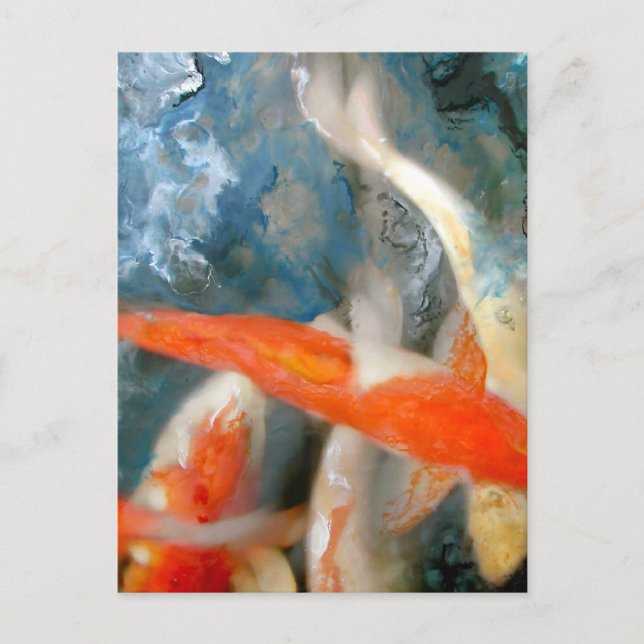 Koi Postcard (Front)