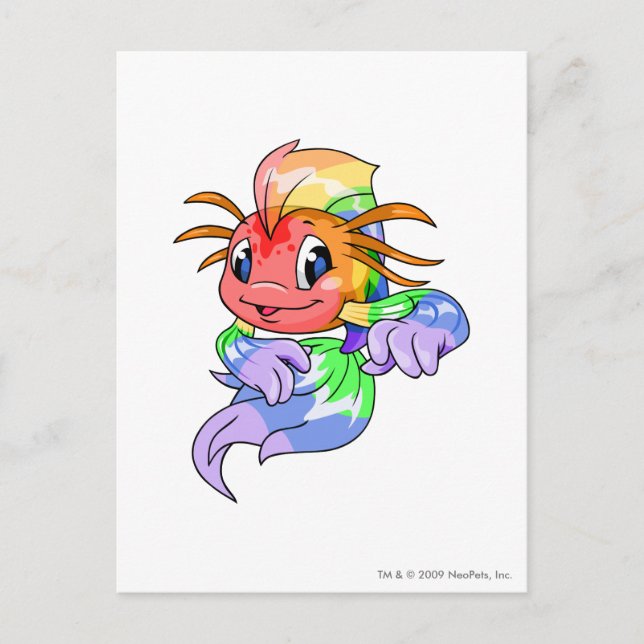 Koi Rainbow Postcard (Front)