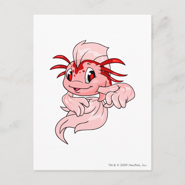 Koi Red Postcard (Front)