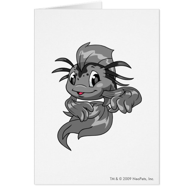 Koi Shadow (Front)