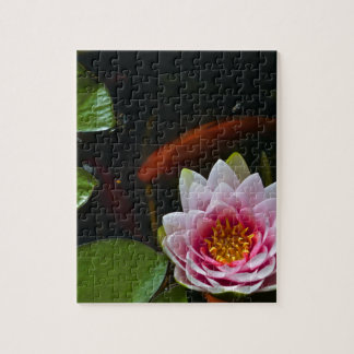 koi  swimming around lotus jigsaw puzzle