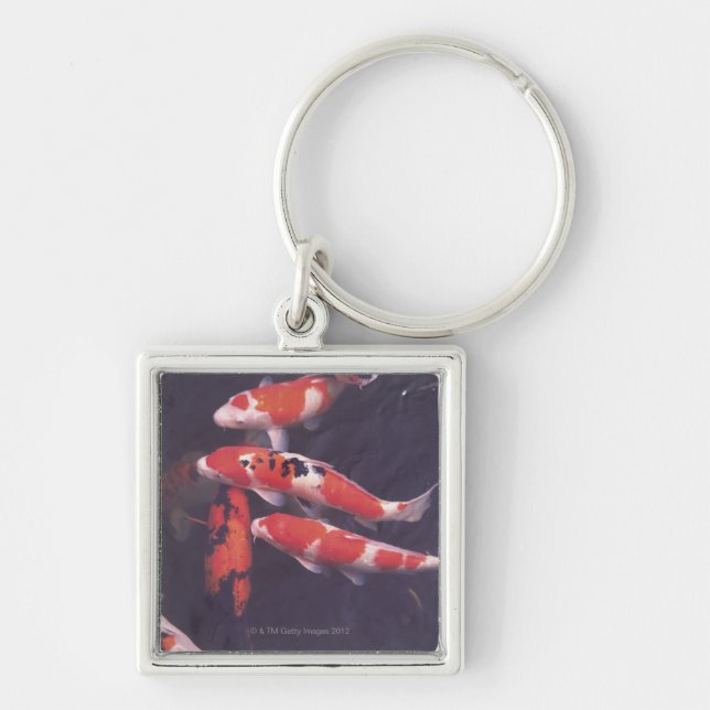 Koi swimming in pool key ring (Front)