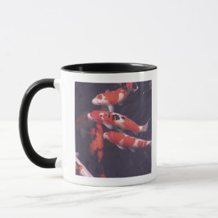 Koi swimming in pool mug