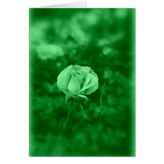 Koinonia   "Fellowship On The Path"