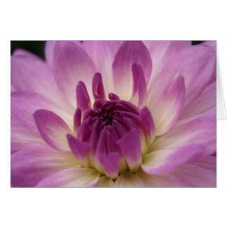 Koinonia   "Fellowship On The Path"