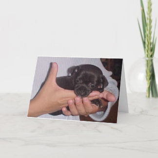 KOKO HOLIDAY CARD