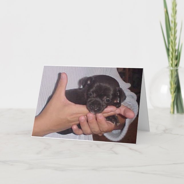 KOKO HOLIDAY CARD (Front)