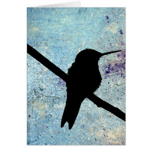 Kolibri, Alles Gute zum Geburts