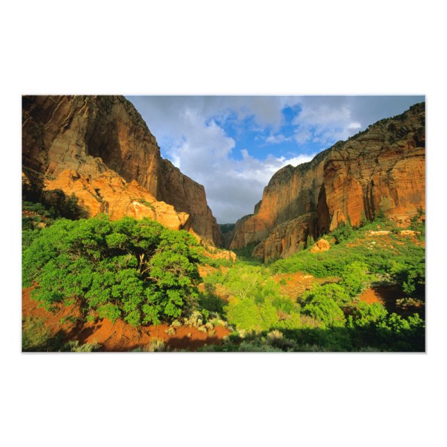 Kolob Canyon at Zion Canyon in Zion National Photo Print (Front)