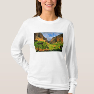 Kolob Canyon at Zion Canyon in Zion National T-Shirt