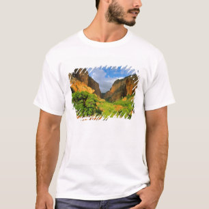 Kolob Canyon at Zion Canyon in Zion National T-Shirt