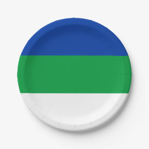 Komi Republic Flag Paper Plate